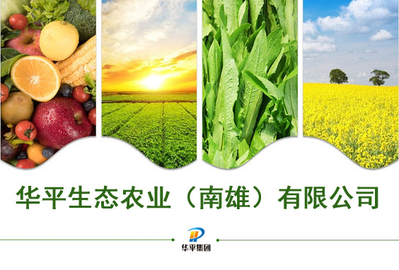 Yy易游生态农业（南雄）有限公司2.jpg
